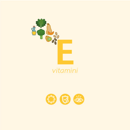 E Vitamini Nedir? Ne İşe Yarar?