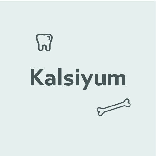 Kalsiyum Nedir? Ne İşe Yarar?