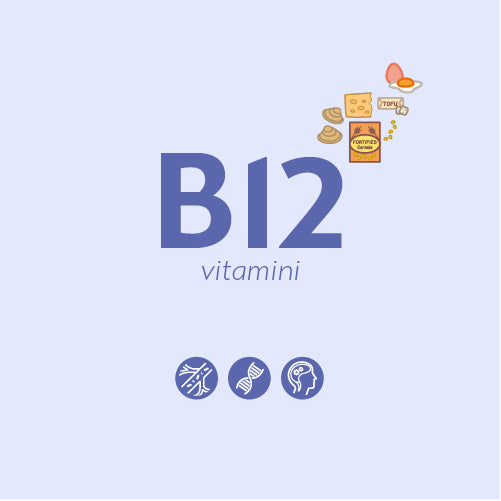 B 12 Vitamini Nedir? Ne İşe Yarar?