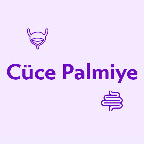 Cüce Palmiye - Saw Palmetto Faydaları - Blog sayfası