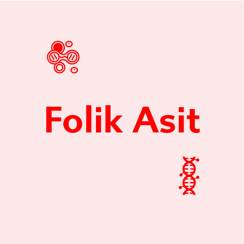 Folik Asit Nedir? Ne İşe Yarar?